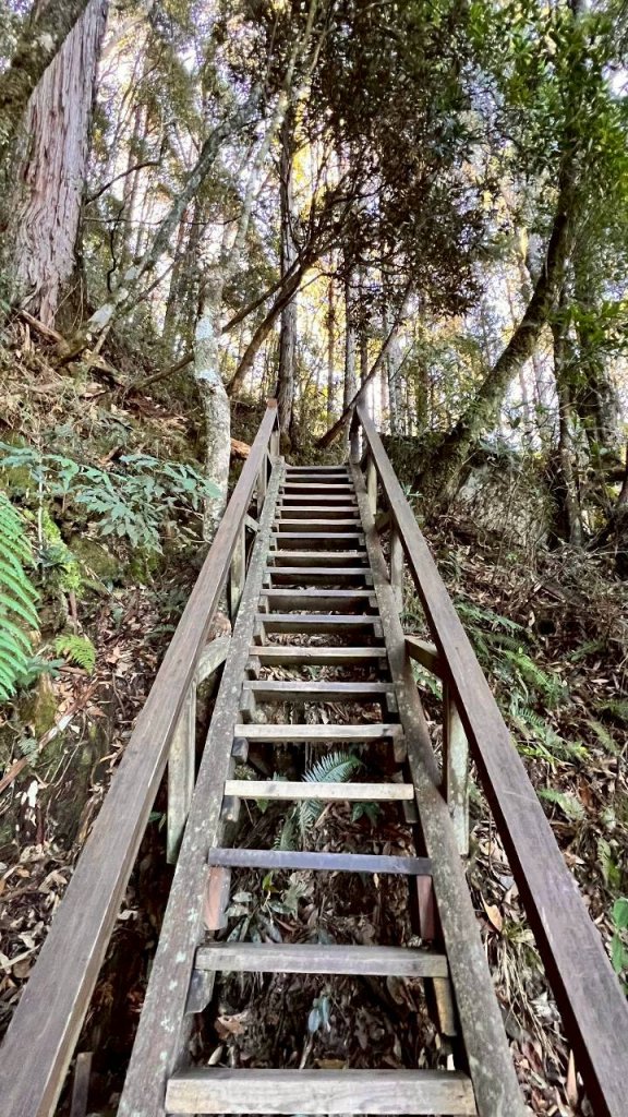 🌈11/15（六）松鶴上八仙山下森林遊樂區✨FB：熊熊趴爬走🌈_2937663