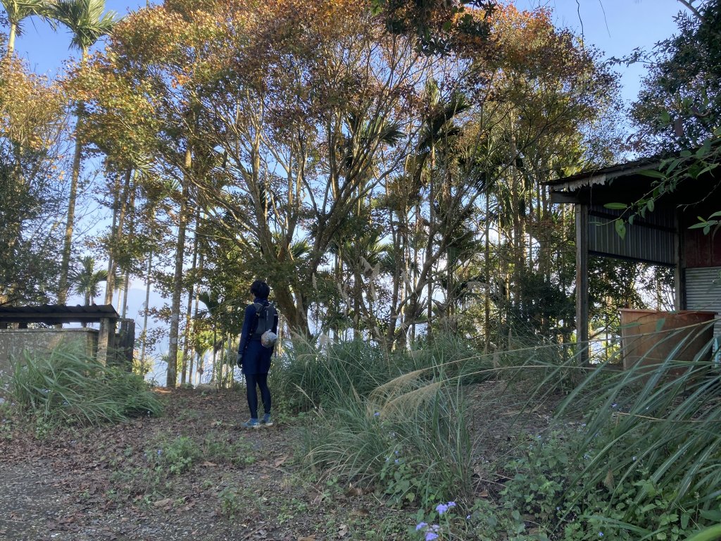 2022.12.26三竹縱走_2012410