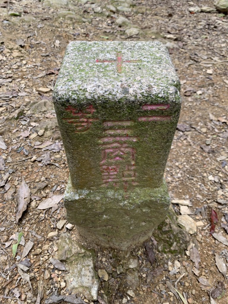 20251010高雄尾寮山-西北峰_2913628