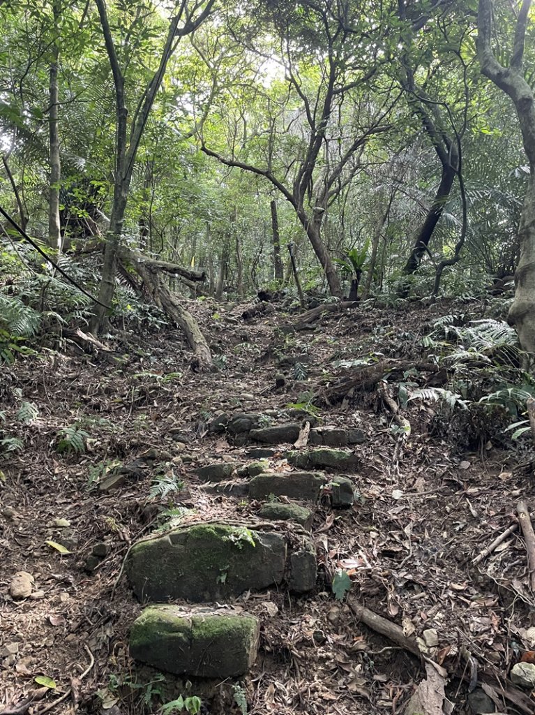 石笋古道O型_2553809