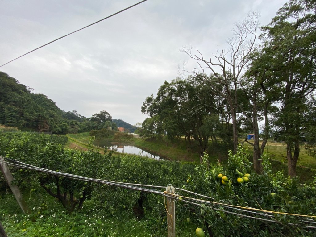 037苗栗泰安-馬那邦山_2604659