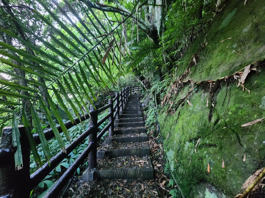 20240707馬胎古道_2780979