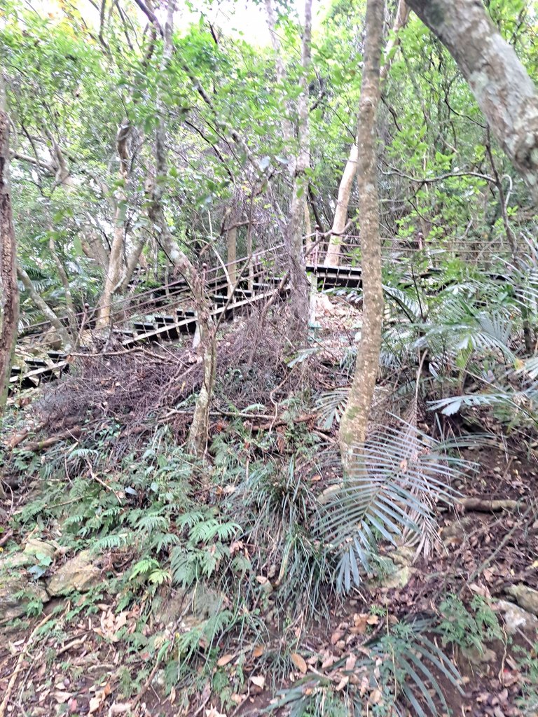 砂卡礑二日行D1：得卡倫步道→大禮部落→砂卡礑林道→立霧山→大同部落20231202_2368225