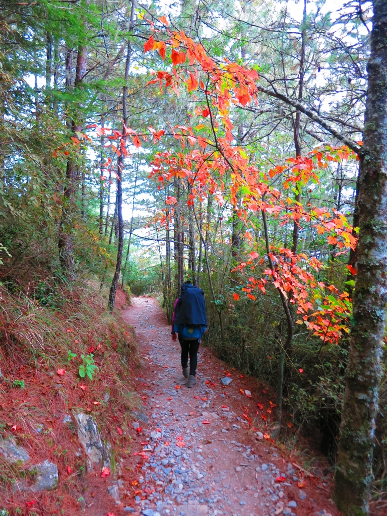 山岳之美~雪山主東下翠池_6619