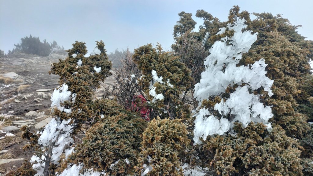 20250126_臺南首嶽關山_2706926