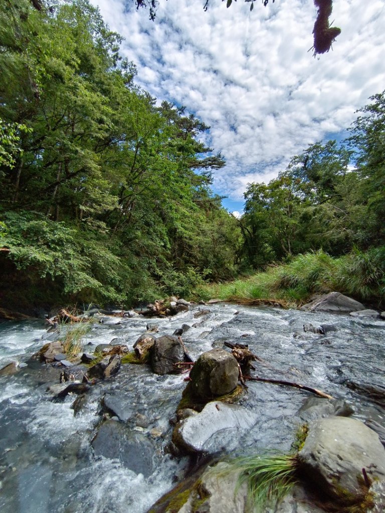 兩颱風之間空擋登屏風山巧遇保育類動物+出大景_2237848
