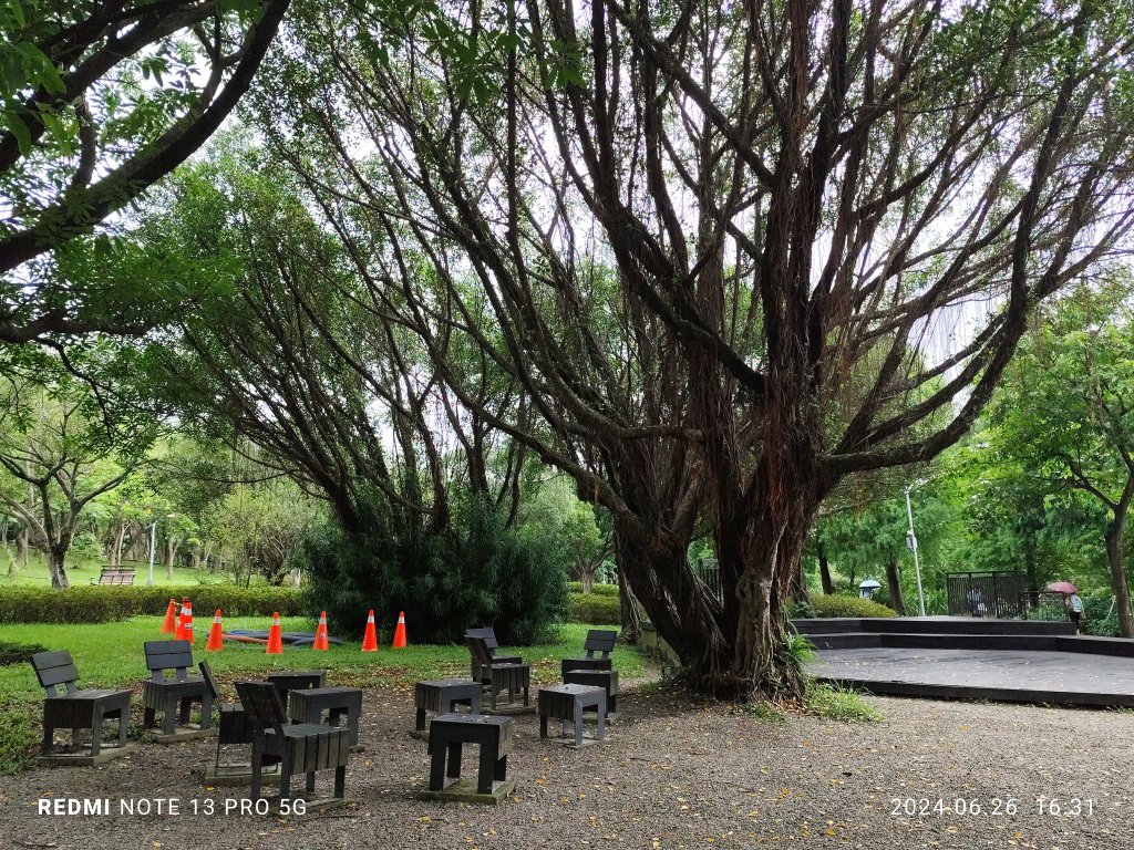 大安森林公園【走路趣尋寶】【臺北健走趣】封面圖