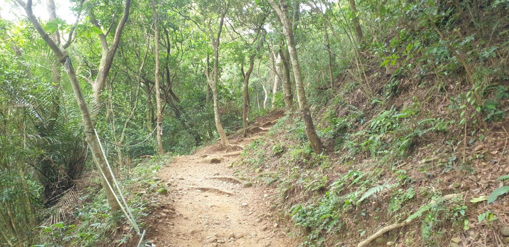 飛鳳山 觀日坪古道_1752056