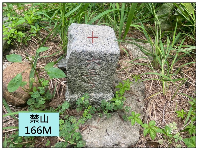 禁山 (苗栗/苑裡)封面圖