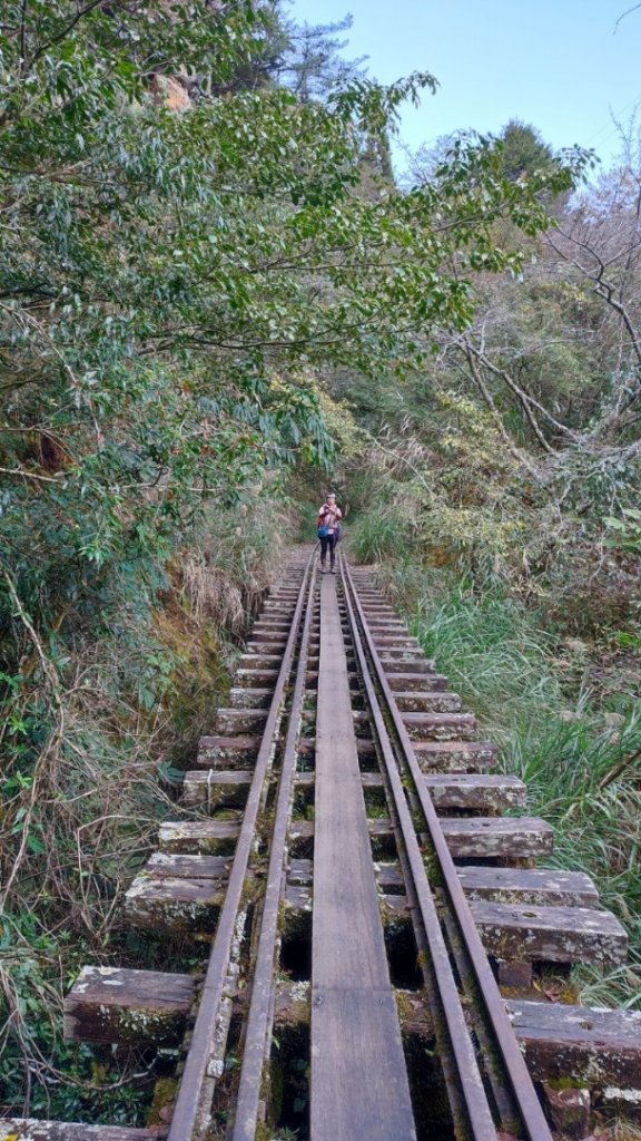 阿里山眠月線20211229-30_1618051