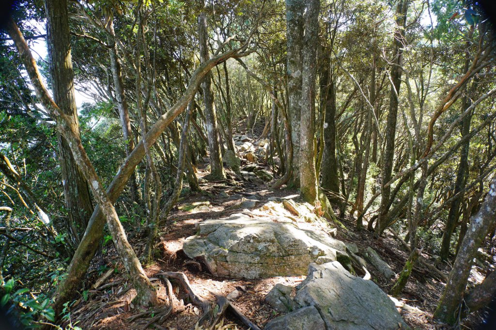 台中 和平 鳶嘴山_2926893