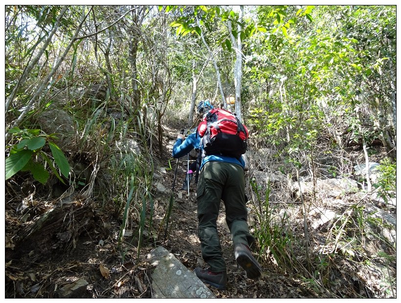 谷關/阿白縱走_822050