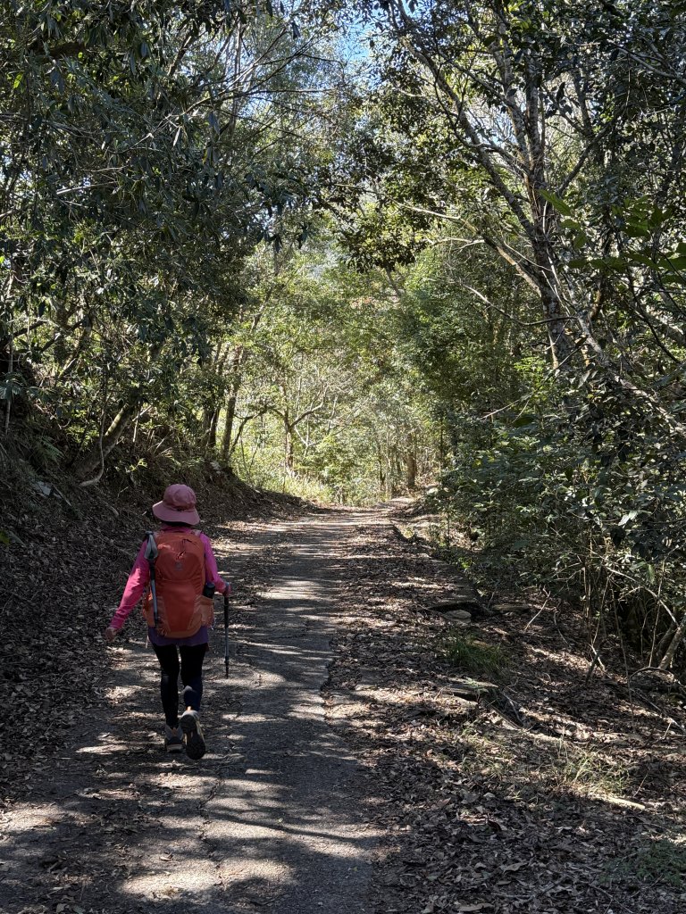 巴蘭縱走(霧社-埔里) 2024.12.01_2666906