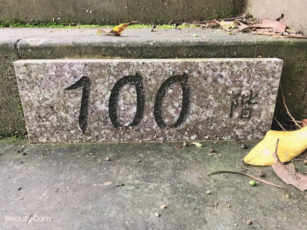 ~ 臺北大縱走  第七段  ~_1291590
