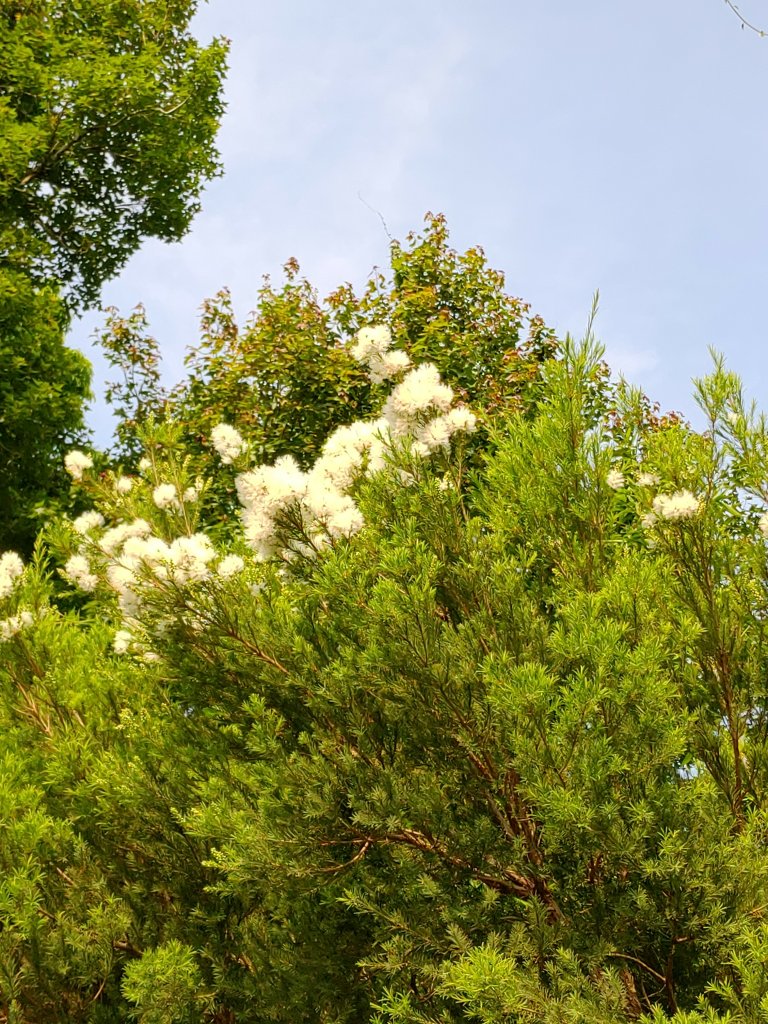 出關古道：聖關段(關刀山步道)_2144922