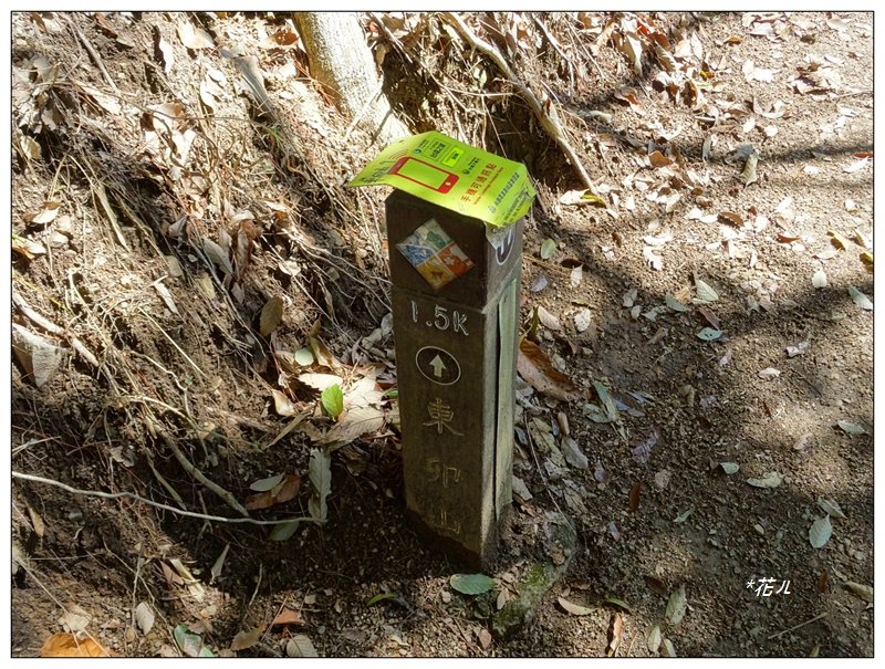 谷關七雄/東卯山4_1321174