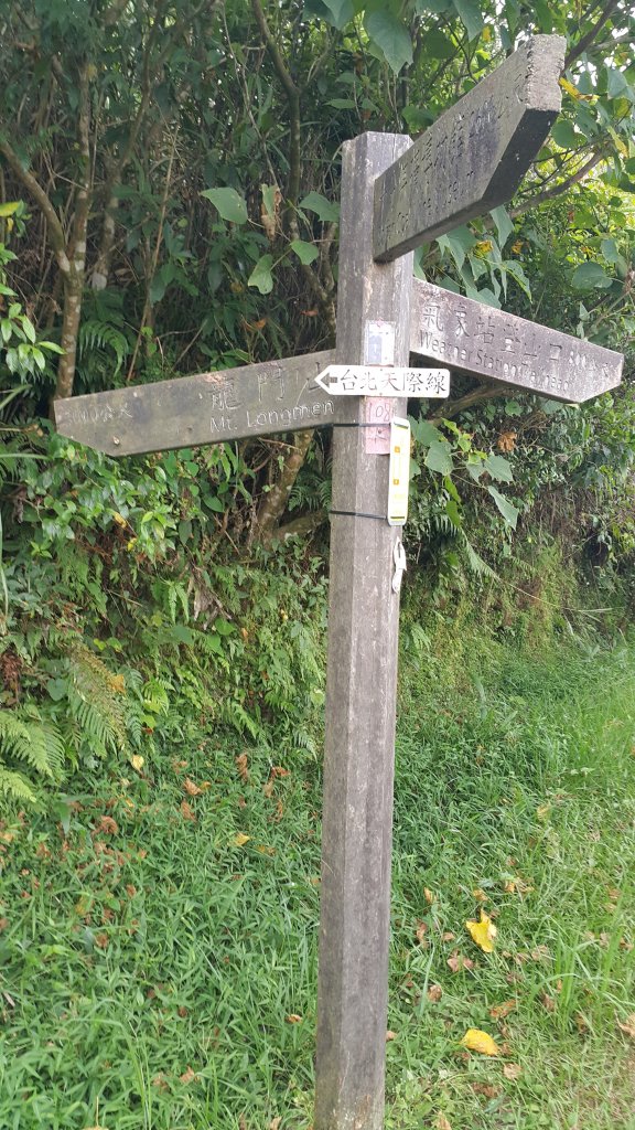 頂子寮山_1779843