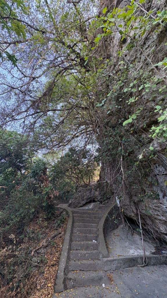 尋仙、鑽洞、啖肥雞_3002768