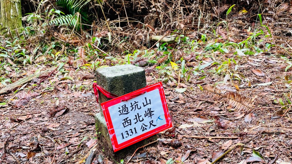 過坑山快閃_2685082