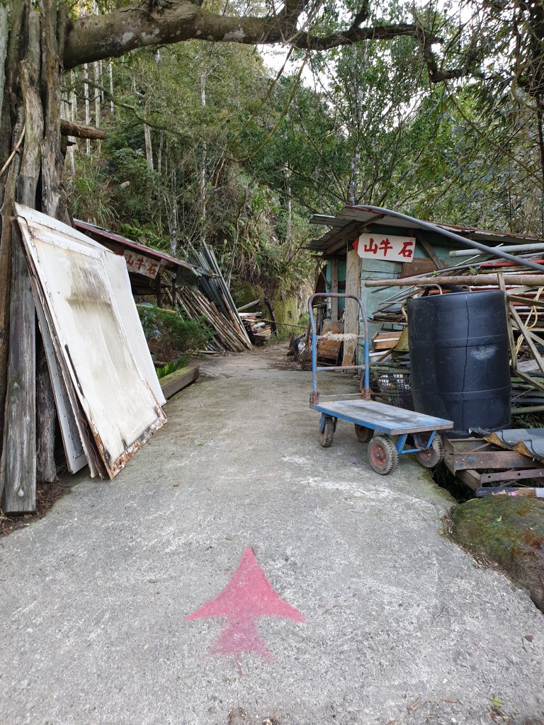 冬 / 冷冬暖陽石牛山_1236495