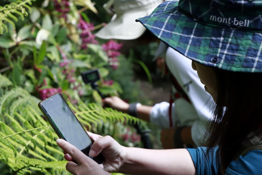 浸水營國家步道_1632690