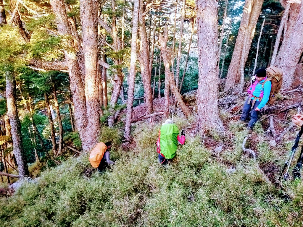 塚魔上南湖-南湖西北稜_1139643