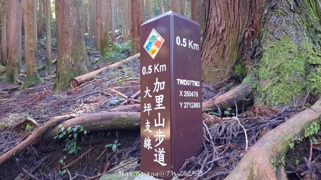 《苗栗》遺世鐵道｜悠遊加里山大坪支線至避難山屋20250822_2867641