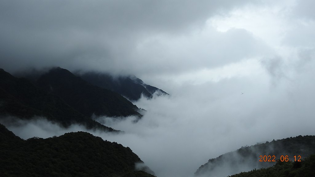 前天摔車受傷也要衝?! 陽明山雲海&天空之城&雲海中觀音_1733448