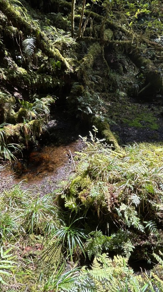 大同舊太平山神社給給池日向台_2748225