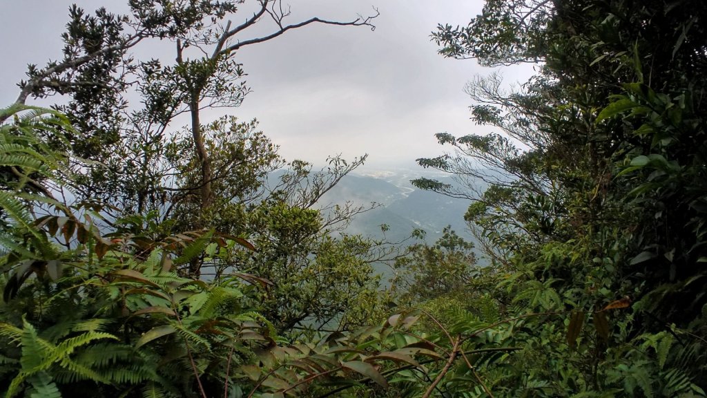 五指山封面圖