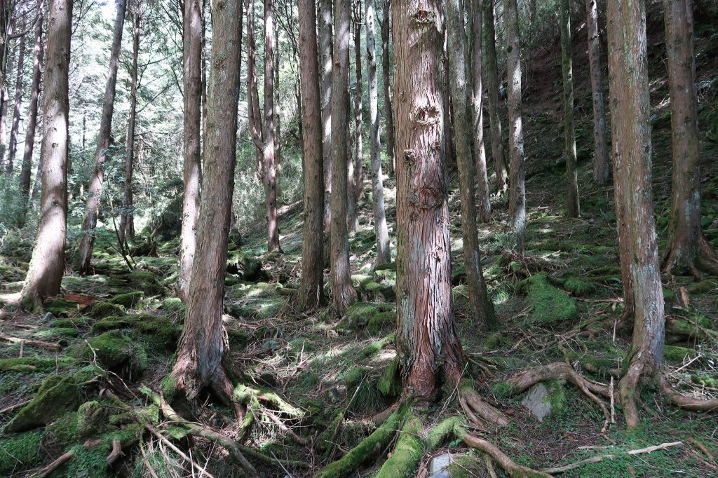 北三錐山_2664297