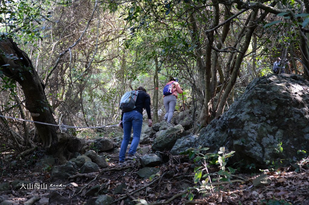屏東縣恆春-大山母山步道_1456022