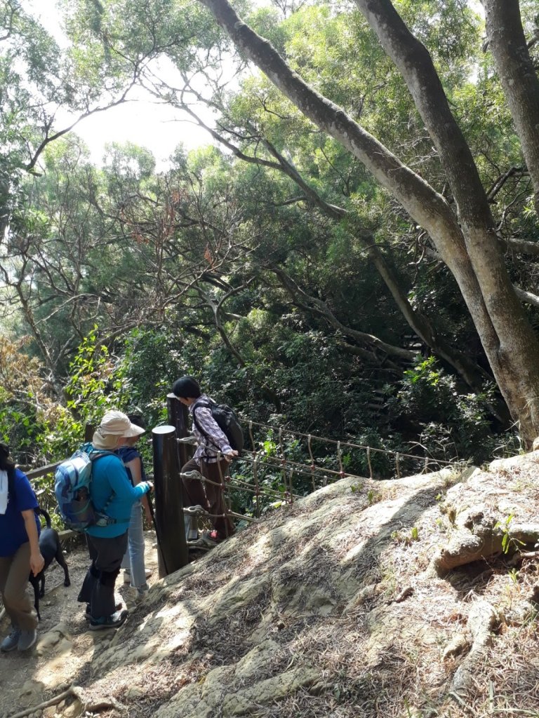 台中大坑7上6下20191027_715696