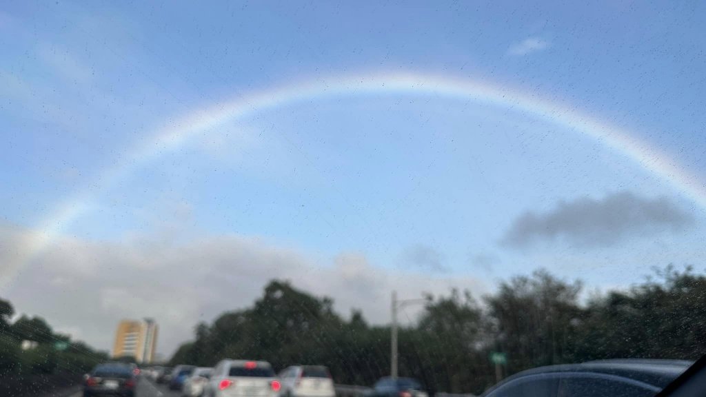 20231112新竹高台山_2354469