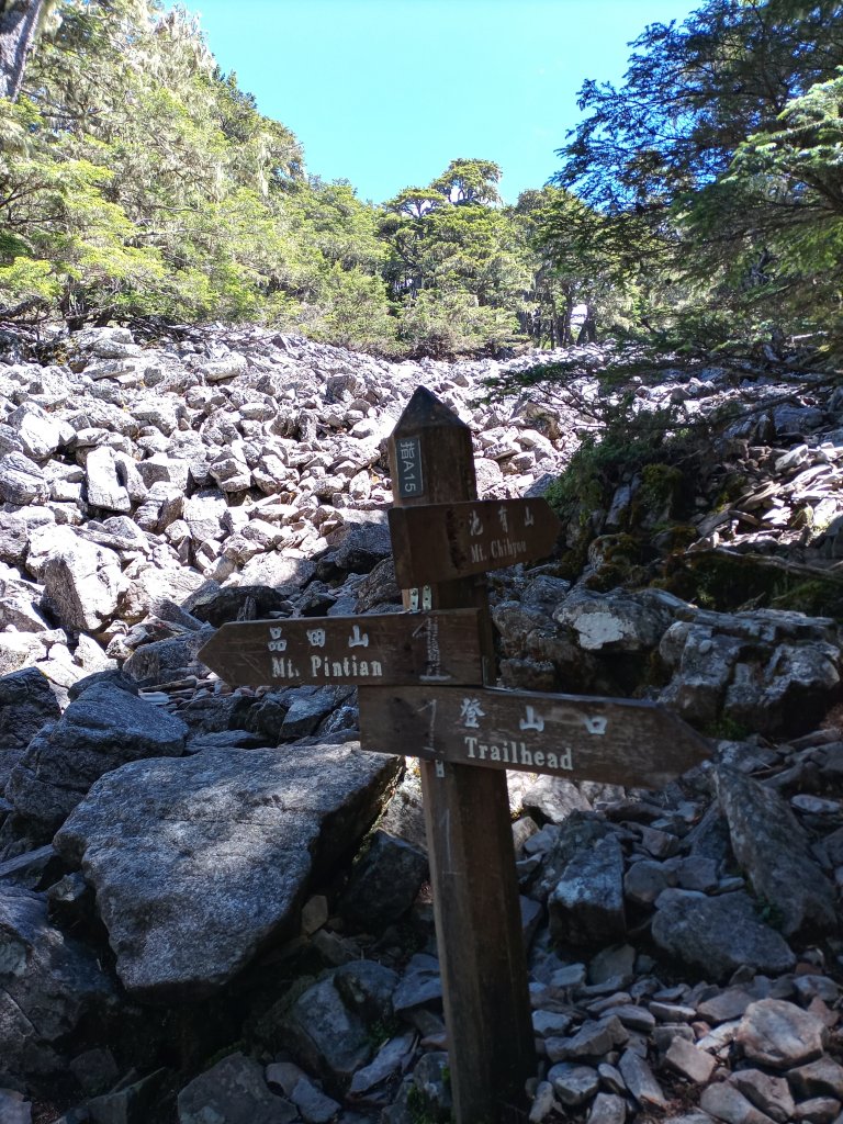 探索池有名樹之美_1744427