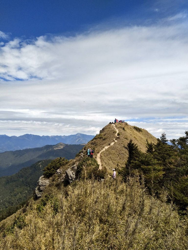 畢祿山封面圖