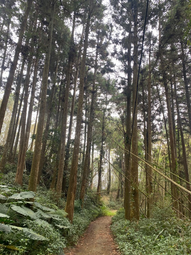1120329奮瑞古道_2643518