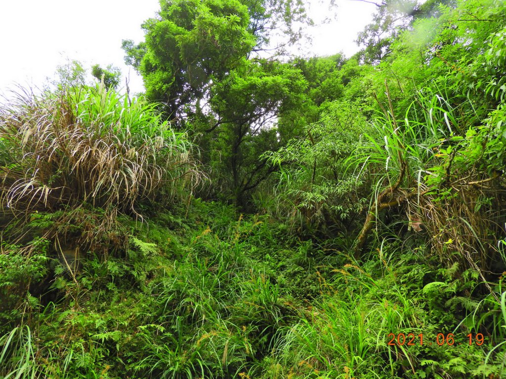 宜蘭 南澳 安平坑林道 - 蘭崁山_1417322