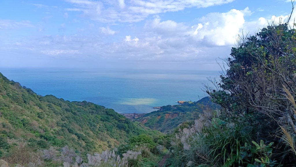 找一個晴天去爬山~金瓜石芒花之旅封面圖