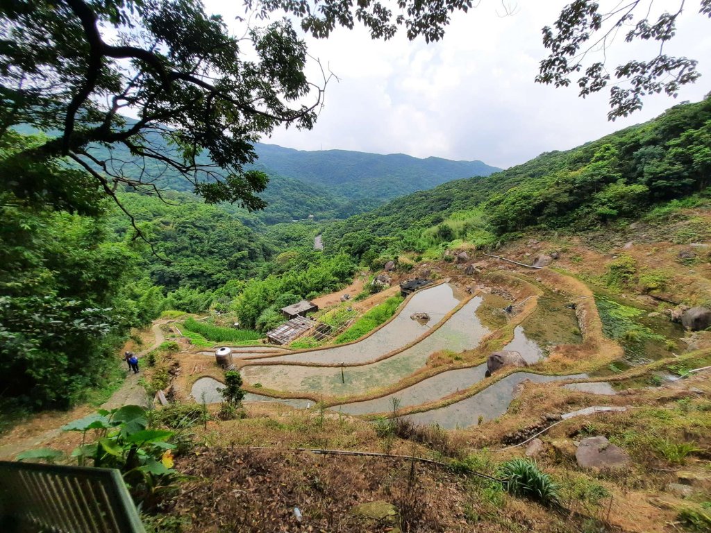 20230722 頂山石梯嶺縱走坪頂古圳，聖人瀑布_2227184