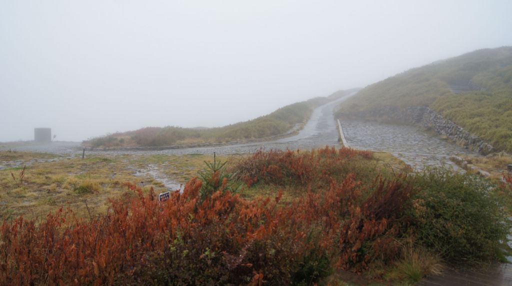 陰雨下的合歡山主峰別有風味_296409