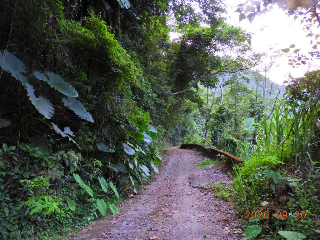 臺中 和平 觀音山_1106130