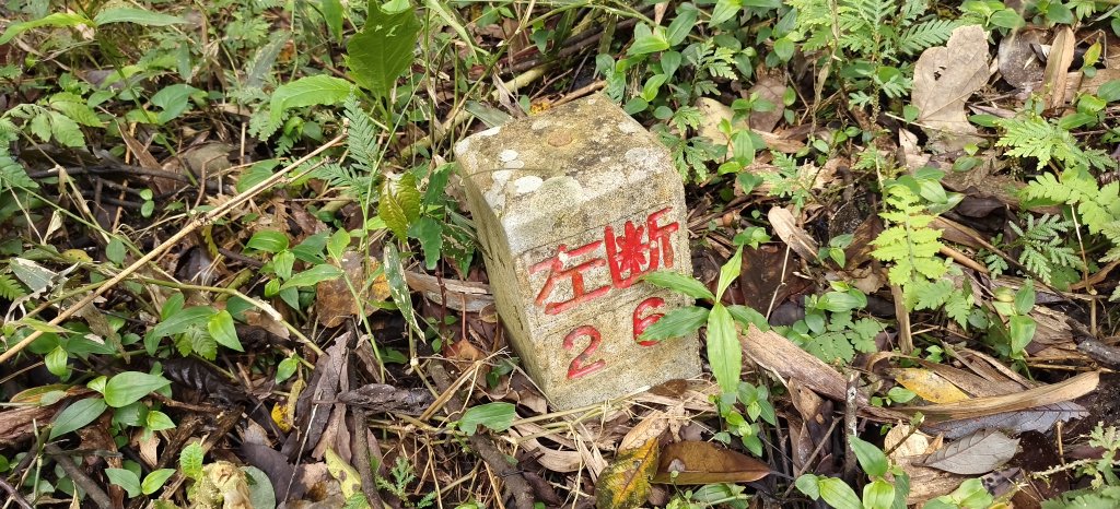 2025/03/16_蓬萊溪護魚步道+萊園坪山_2737569