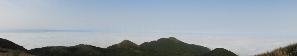 邂逅江湖傳說已久鐘萼木(據說冰河孓遺植物)，再見差強人意的月光/日出雲海_2112149