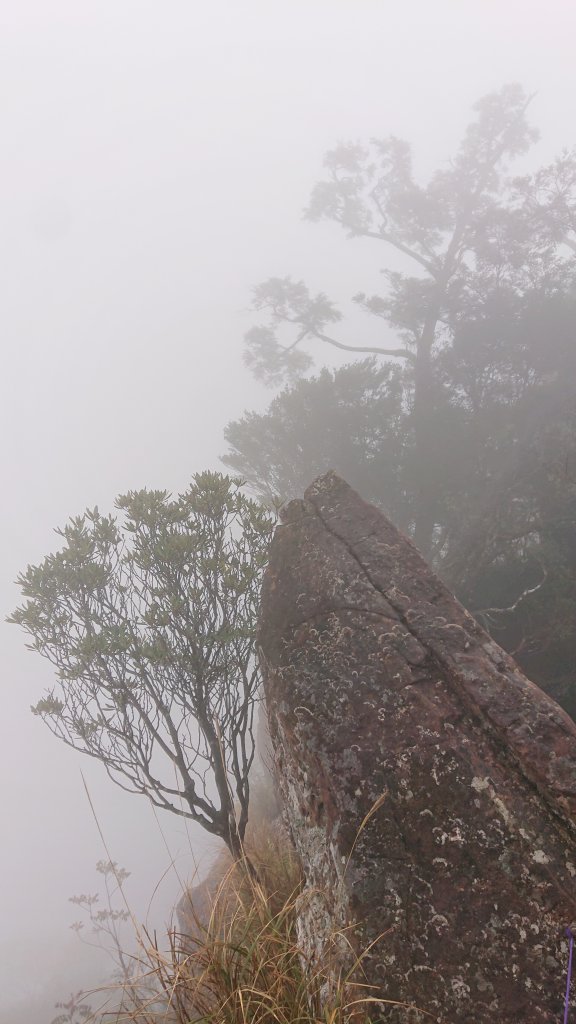 步道巡訪員│北得拉曼步道1月巡訪日誌_818296