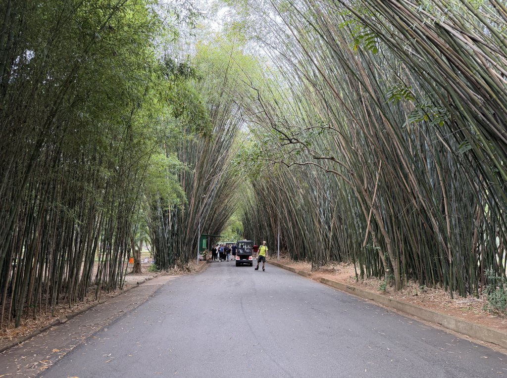 [紐約馬之行-69] 2025_1116 伊比拉布埃拉公園-下_2955220