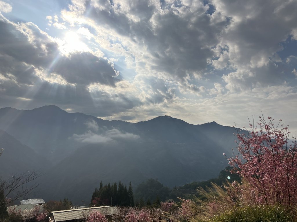 司馬庫斯_2439389