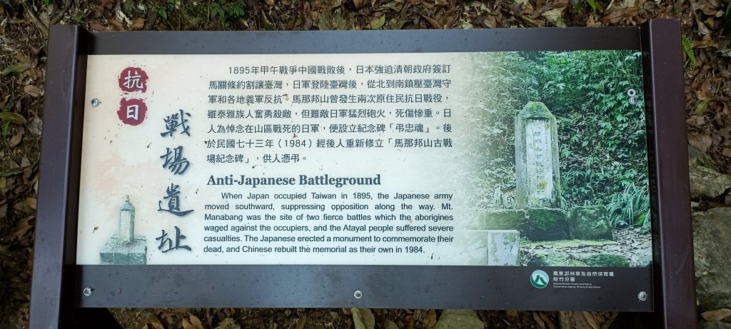 20240224_馬那邦山、細道邦山步道_2436113