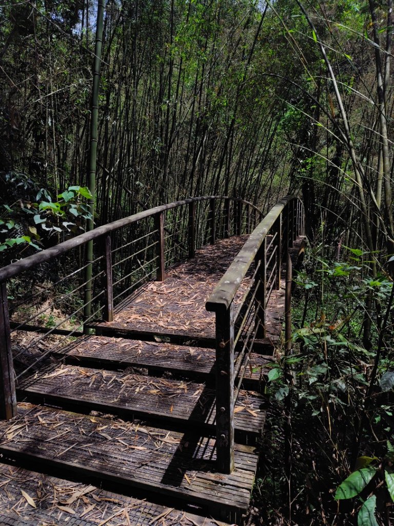 達娜伊谷-里美避難步道-巨石板步道-約富霓_2788546