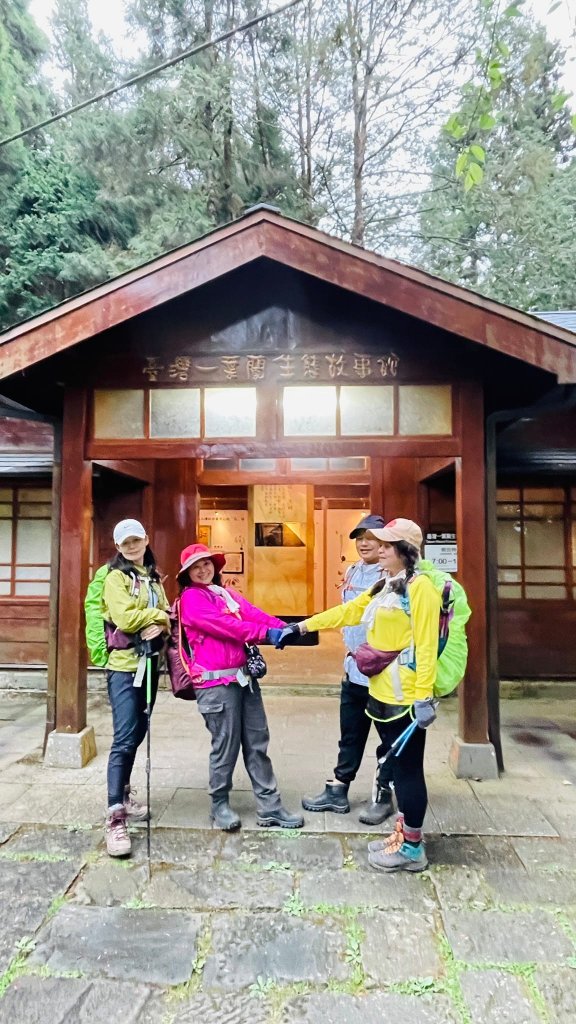 1130331阿里山-大塔山(小百岳)_2469026